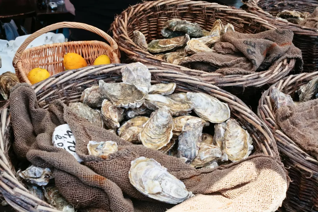 Les huîtres en été